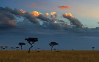 Nella savana. Masai Mara.