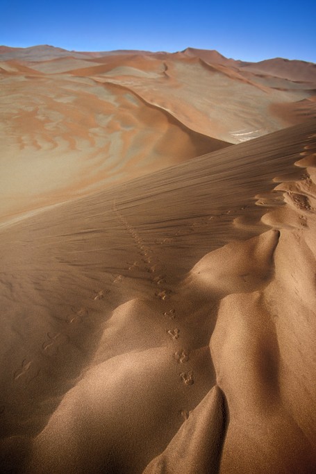  Orme. Namib Desert, Namibia.