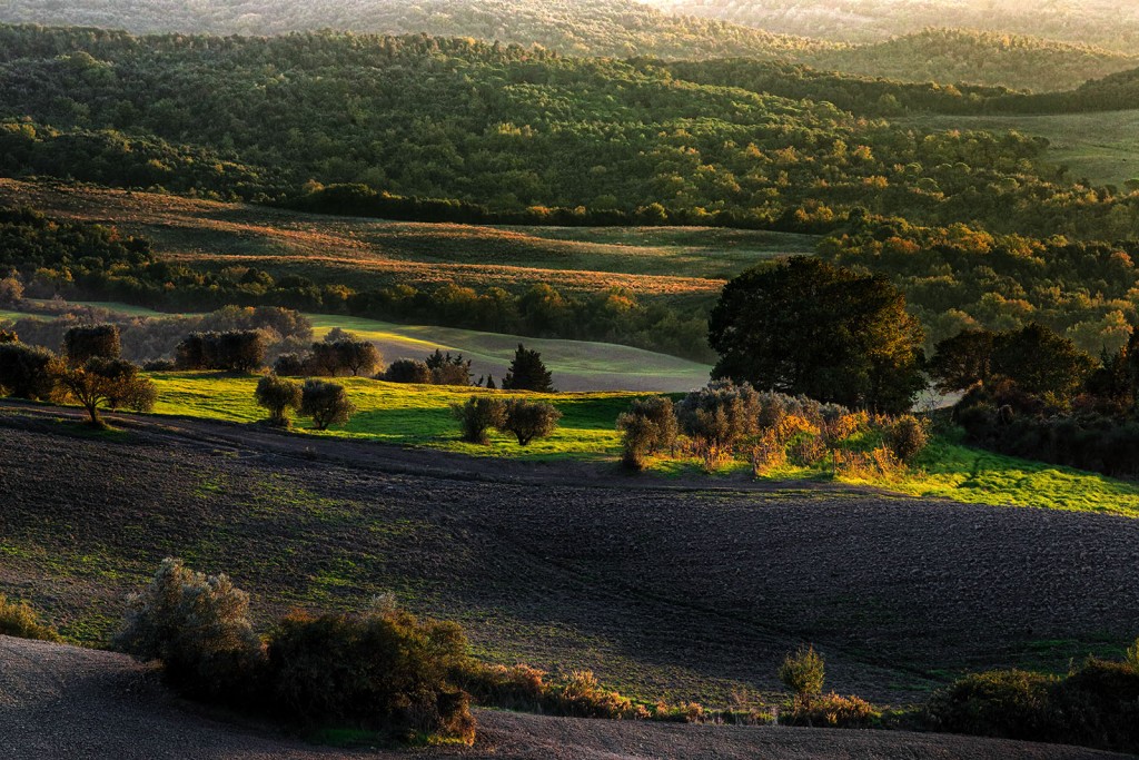 Campagna volterrana.