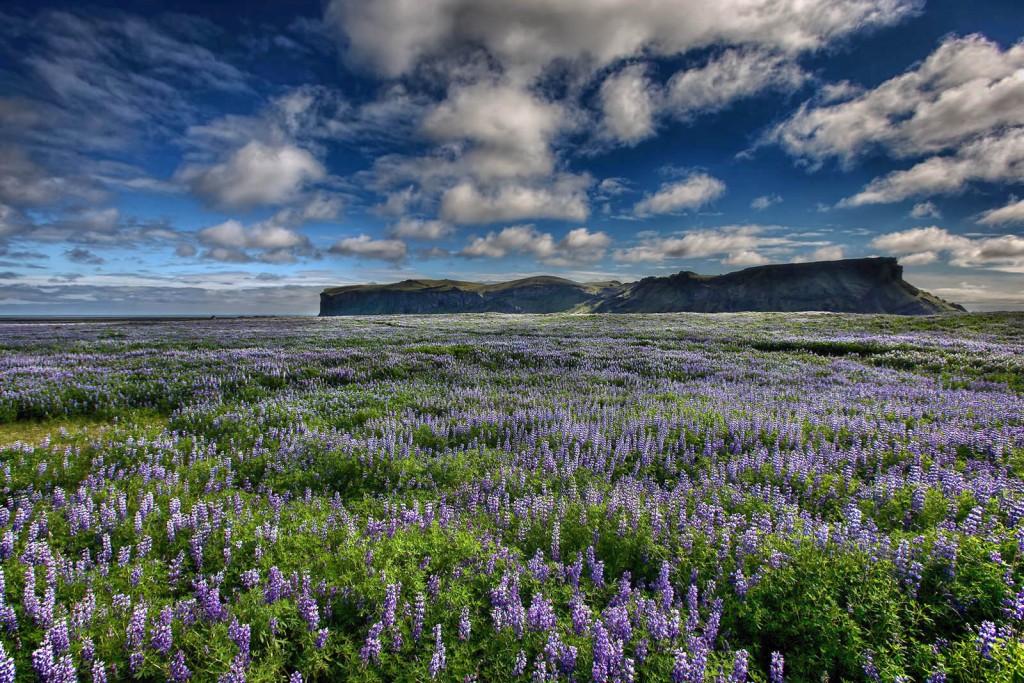  Myrdalsandur.