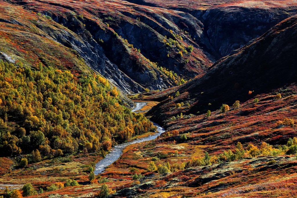  Grimsdalen. Tundra in autunno.