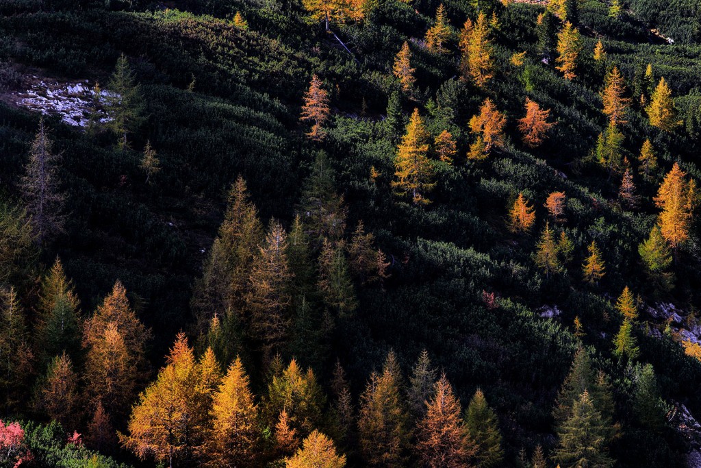  Dolomiti.