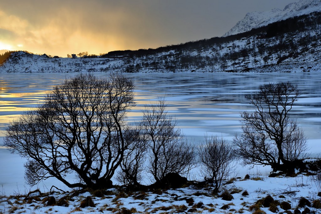  Isole Lofoten.