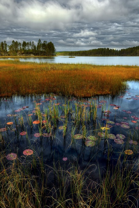  Svezia.