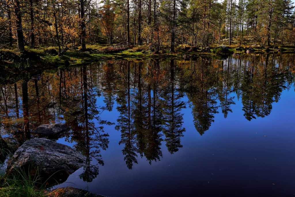  Svezia.