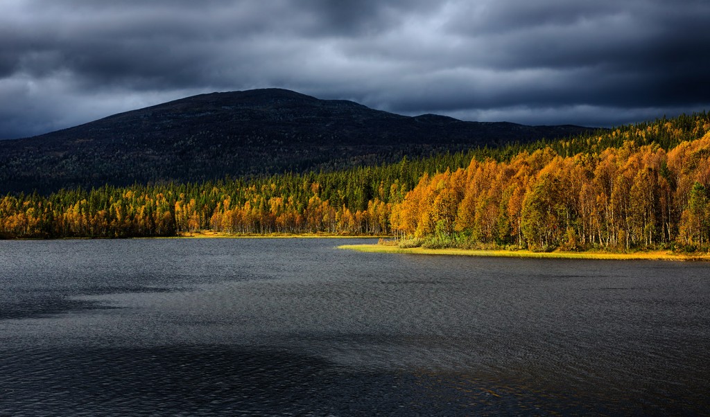  Svezia.