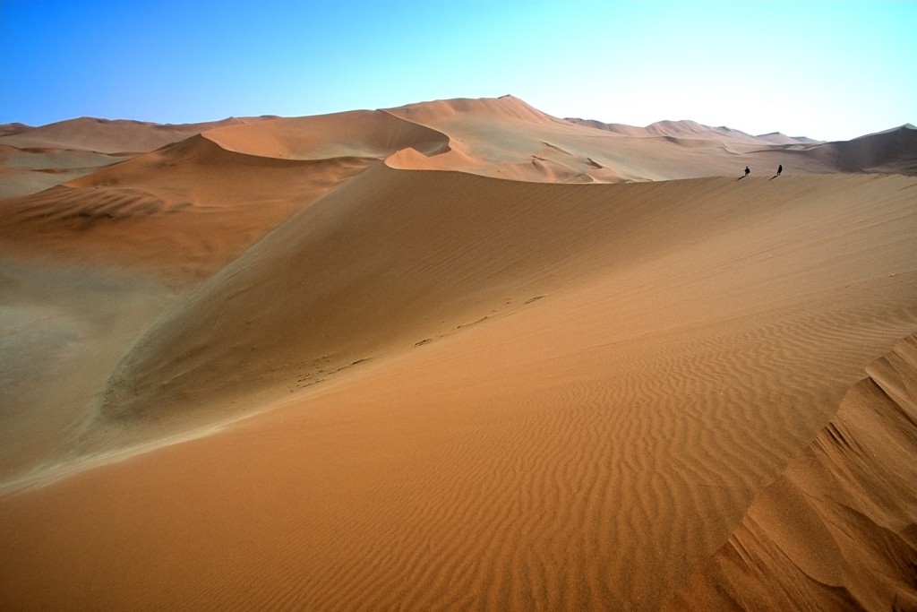  Namib Desert, Namibia.