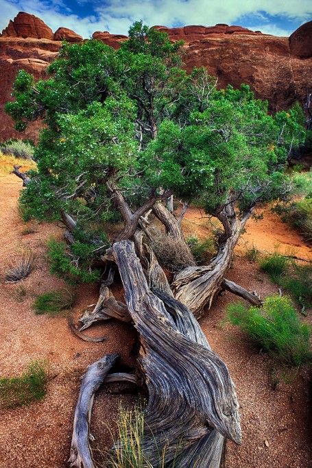  Arches, Utah.