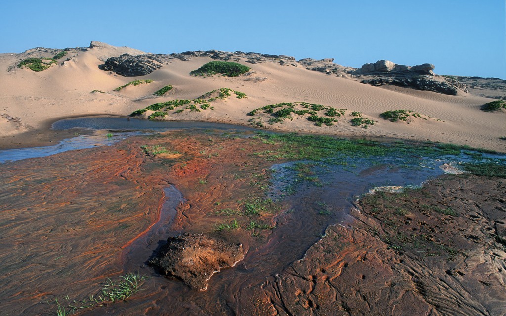  Costa degli Scheletri, Namibia.