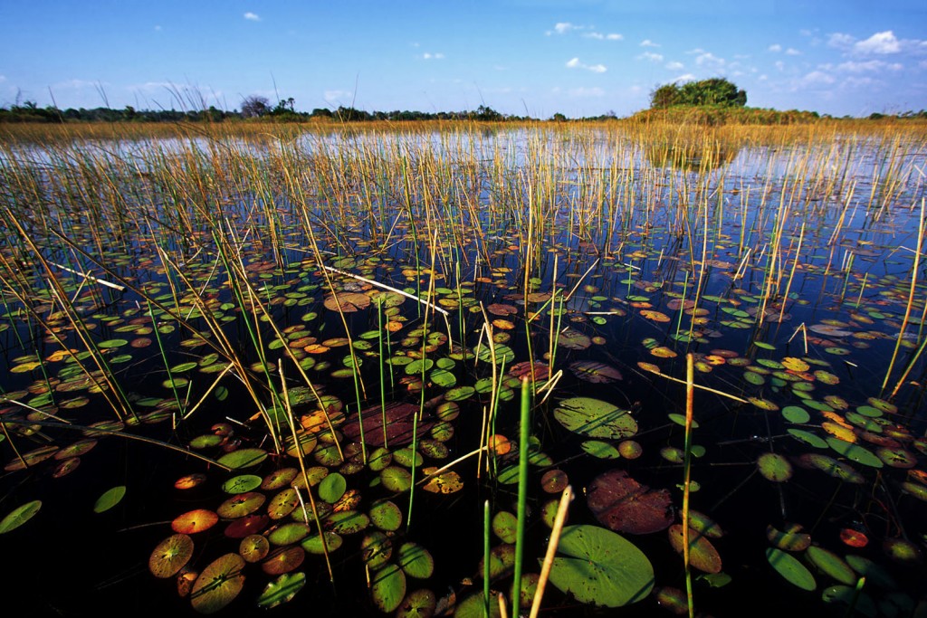  Okavango, Botswana.