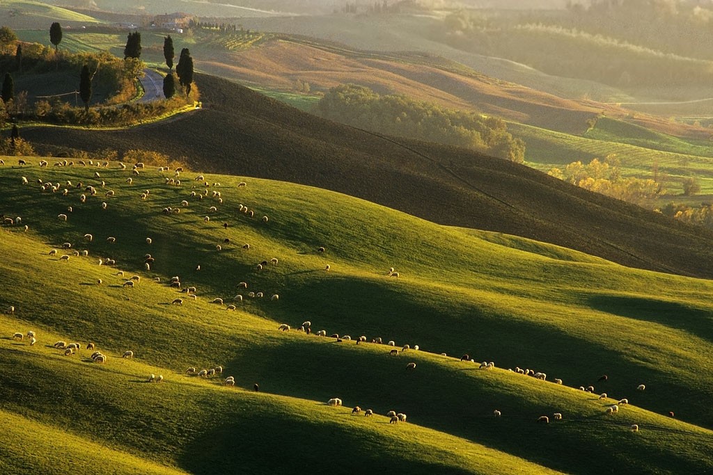  Crete senesi 1987.