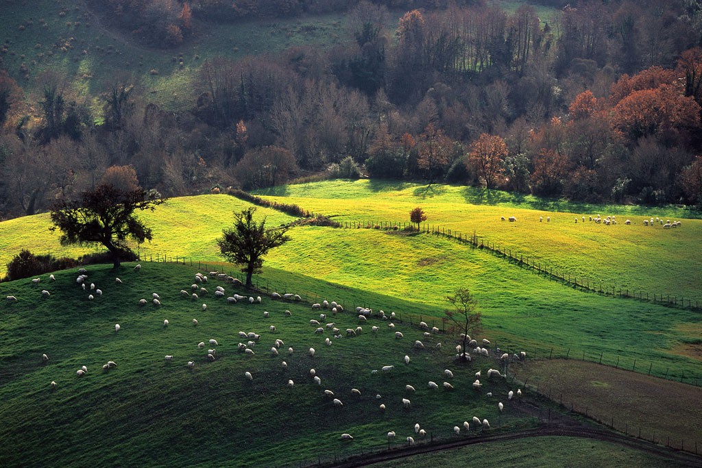  Maremma 1998.