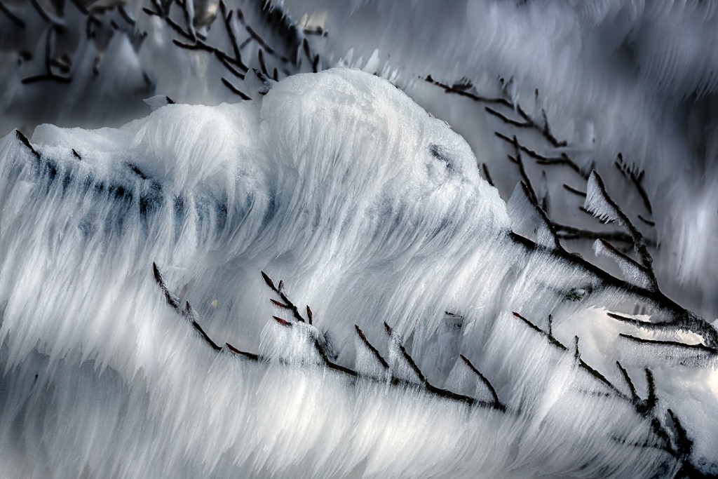  Foreste Casentinesi.