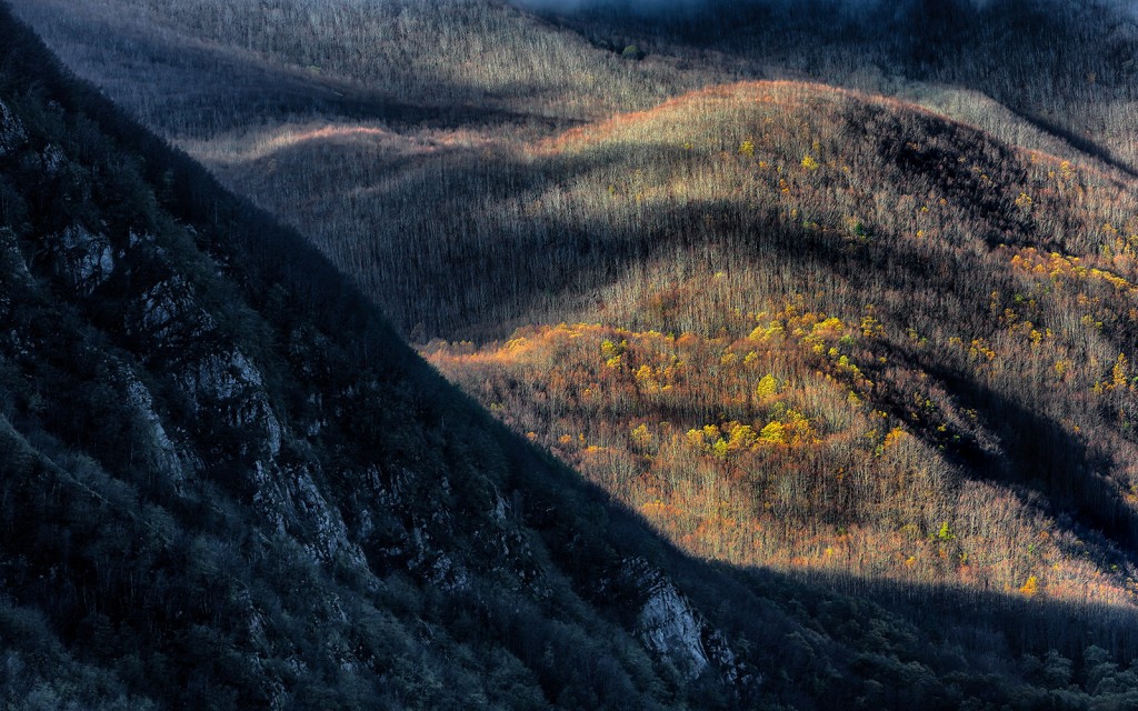  Foreste Casentinesi.