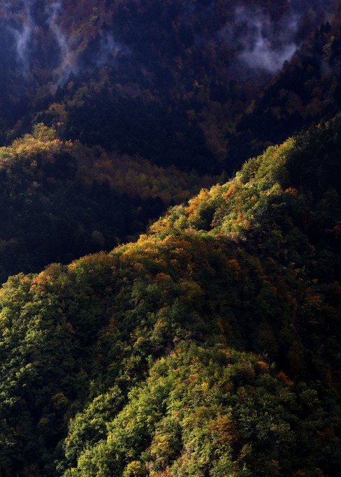  Foreste Casentinesi.