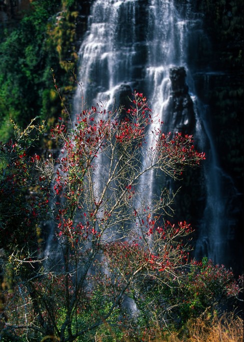  Mpumalanga. Sudafrica.