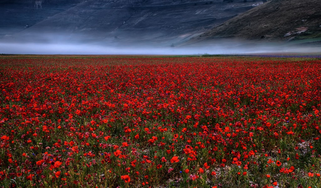  Pian Grande, Monti Sibillini.