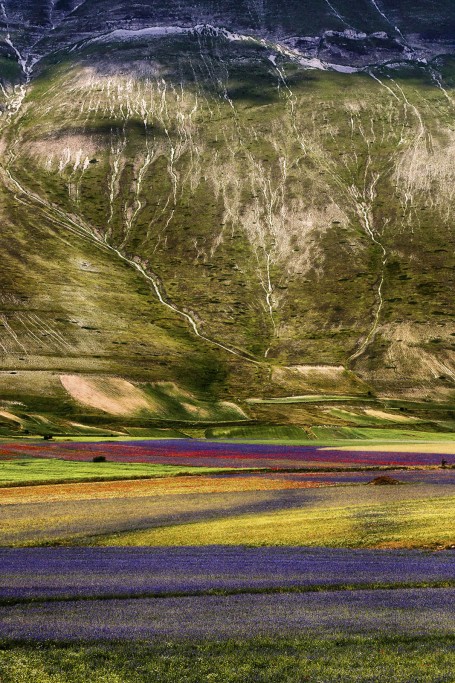 Pian Grande, Monti Sibillini.