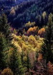Dolomiti.