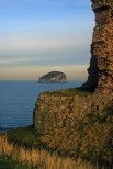 Bass Rock. Scozia.