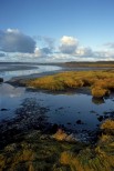 Isola di Islay. Scozia.