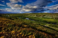 Penisola di Varanger. Tundra in estate.