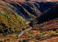Grimsdalen. Tundra in autunno.