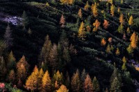 Dolomiti.