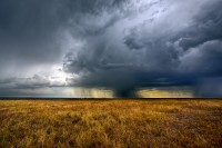 Nella savana.