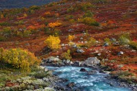 Norangsdal. Tundra in autunno.