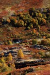 Grimsdalen. Tundra in autunno.