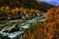 Norvegia in autunno.