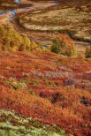 Grimsdalen. Tundra in autunno.