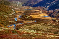 Grimsdalen. Tundra in autunno.