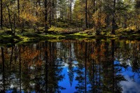 Svezia.