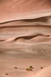 Namib Desert, Namibia.
