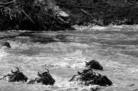 Il passaggio del Mara.