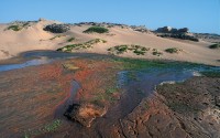 Costa degli Scheletri, Namibia.