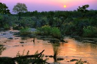 Fiume Crocodile, Parco Kruger, Sudafrica.