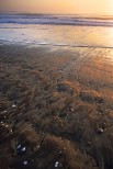 Skeleton Coast, Namibia.