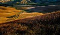 Crete senesi.