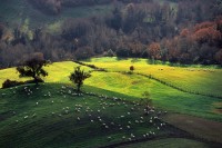 Maremma 1998.
