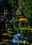 Fiume Ombrone.