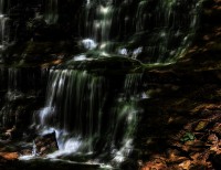 La cascata verde. Foreste Casentinesi.