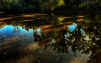 Fiume Cecina.