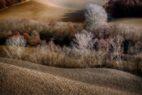 Crete senesi.