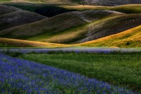 Pian Perduto, Monti Sibillini.