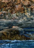 Scogliera di Calafuria.
