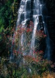 Mpumalanga. Sudafrica.