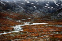 Norangsdal. Tundra in autunno.